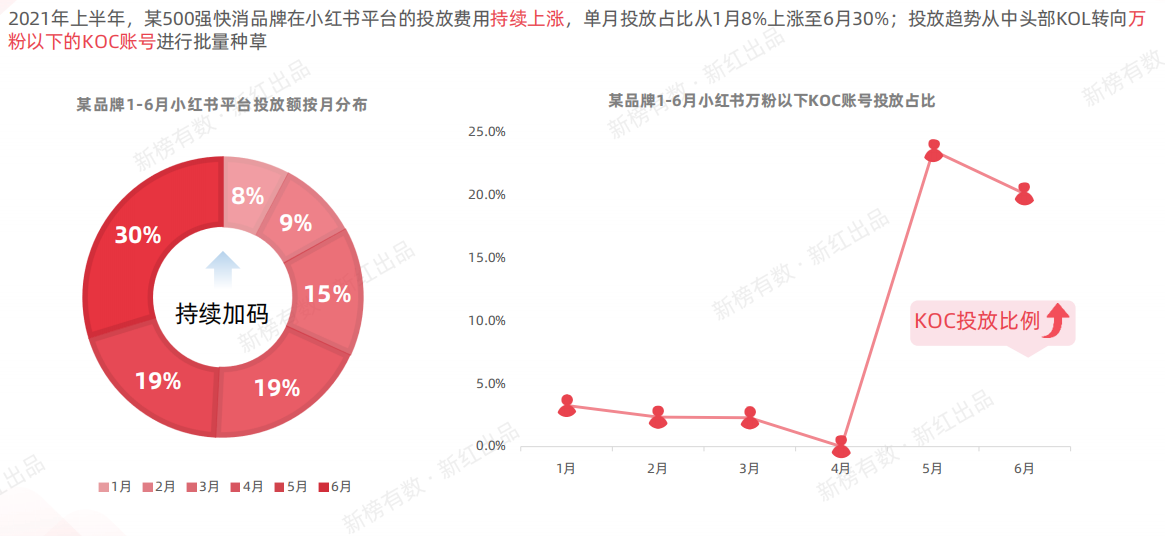 小红书营销洞察报告