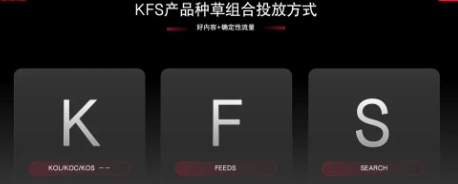 kfs组合种草