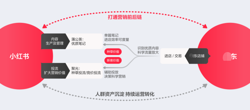 小红书广告营销链路分析