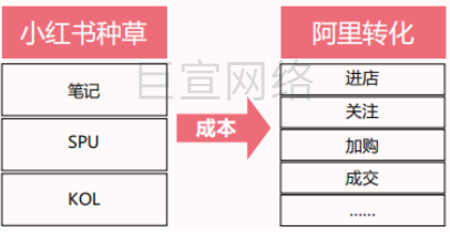 转化闭环  充分分析&评估种草效率