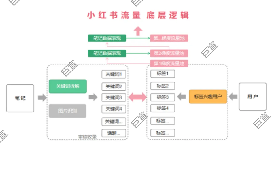 小红书广告流量的底层逻辑