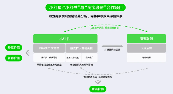 销量增长三级跳，小红星如何助新锐国货熊猫布布成功破局？| 小红书广告推广