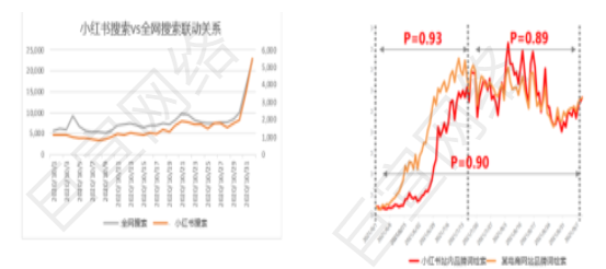 小红书广告聚光平台的搜索产品的介绍